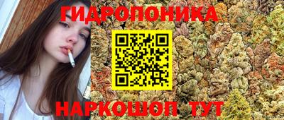 тгк Можга