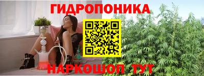 спиды Моздок