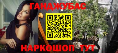 тгк Можга