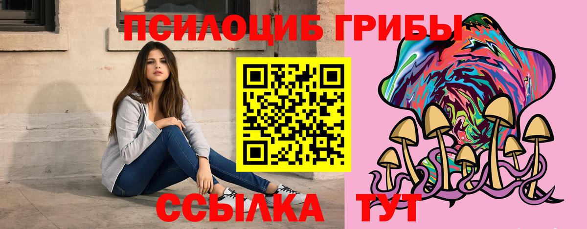 Дмитров  Галлюциногенные грибы Cubensis  купить наркоту  Вход с VPN 